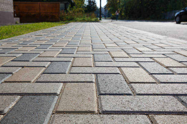 Best Local Driveway Pavers  in Black River, NY