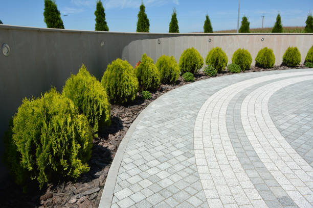 Best Residential Driveway Paver Services  in Black River, NY